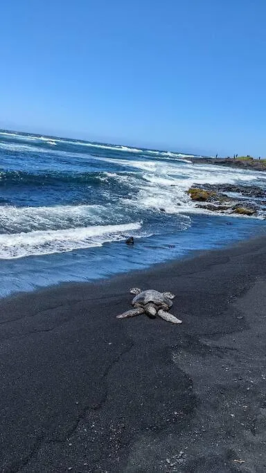 Local Living In Volcano Hawaii Breeze&5 Mins To Volcano National Park ארצות הברית